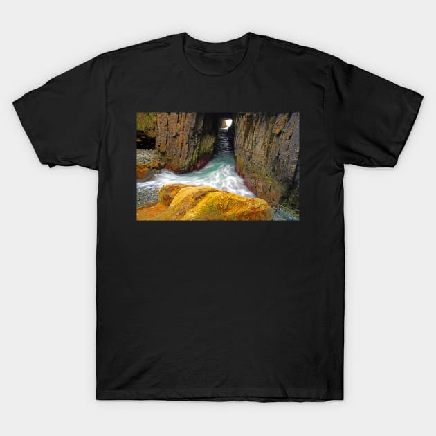 Devils Kitchen T-Shirt by pops